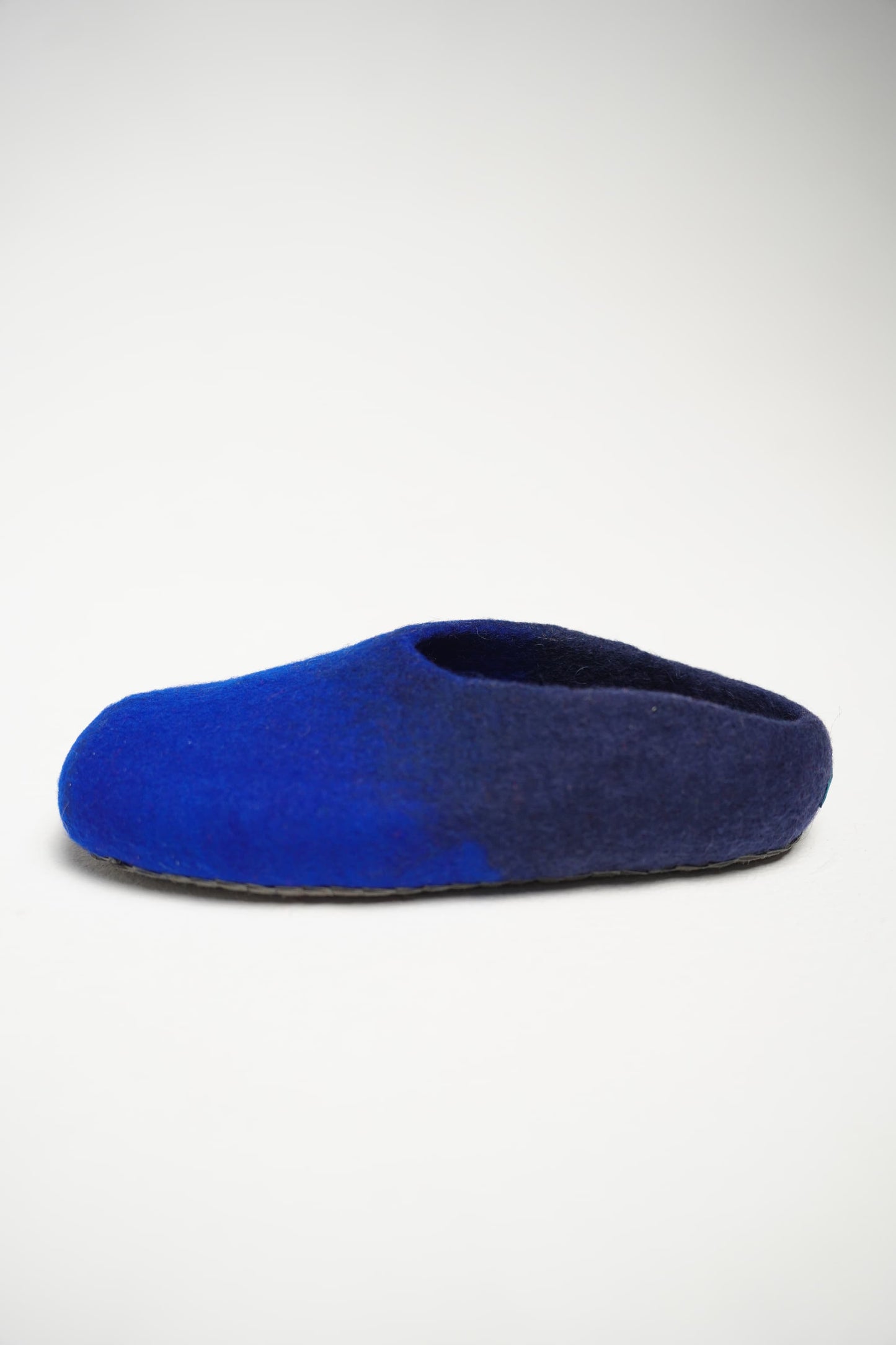 Blue Slippers