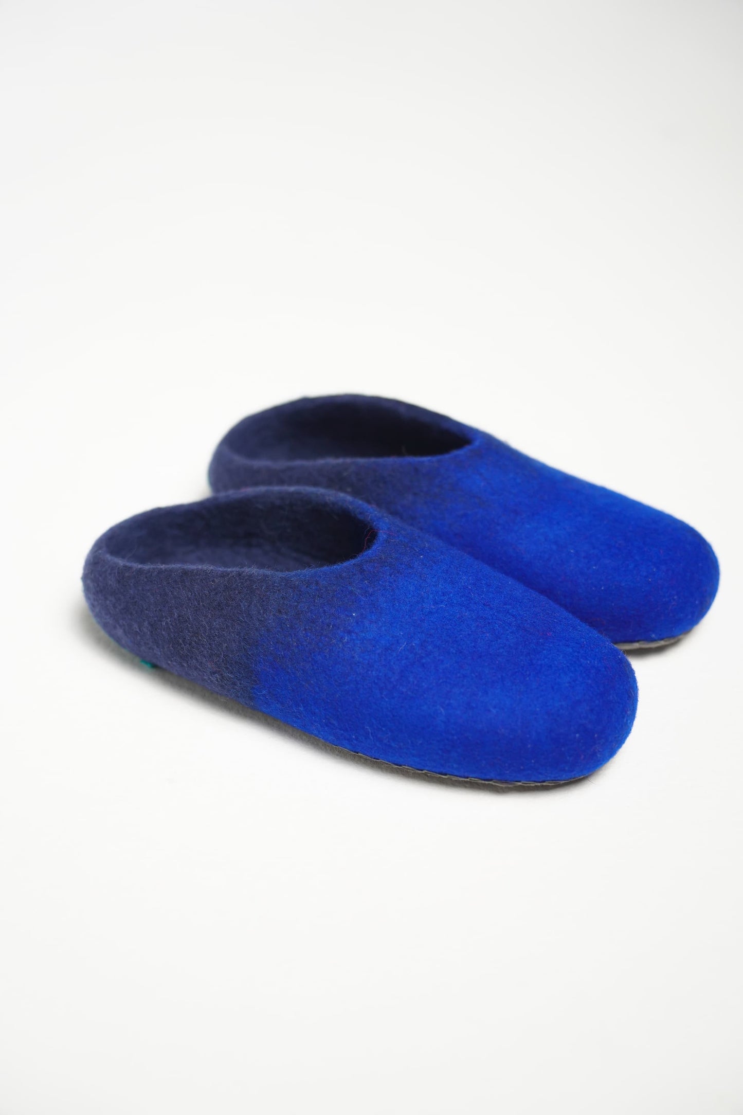 Blue Slippers