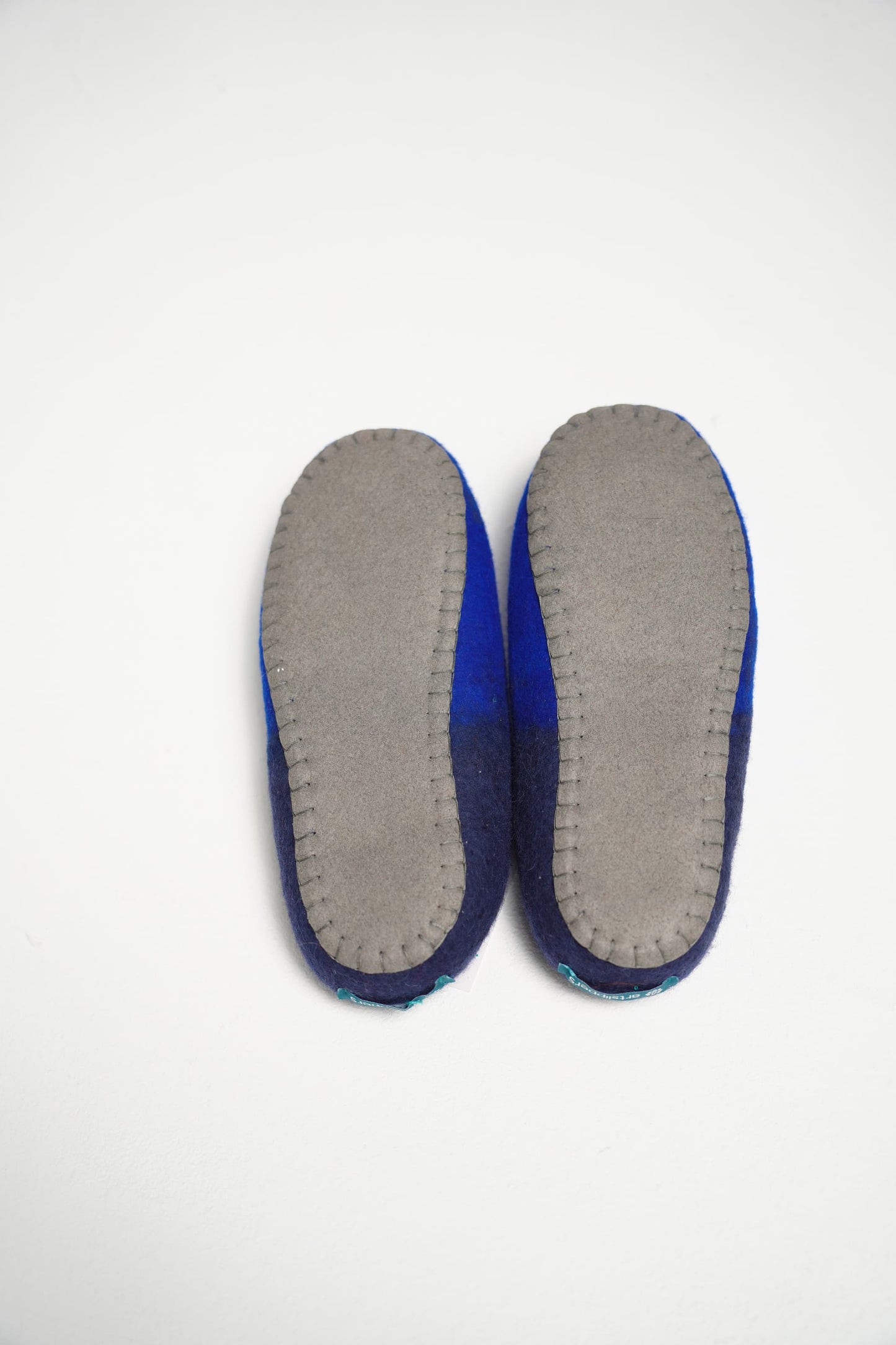 Blue Slippers
