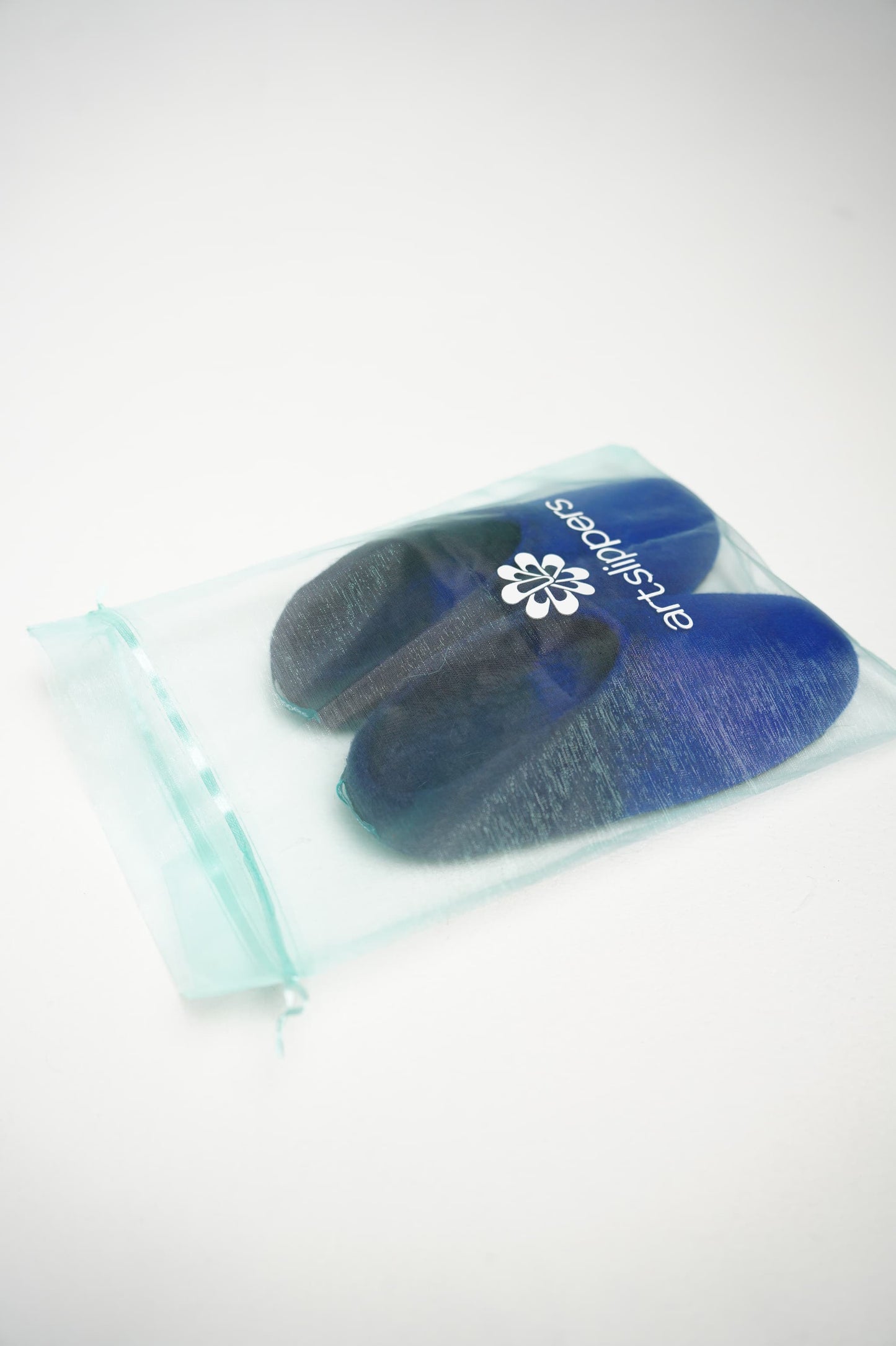 Blue Slippers