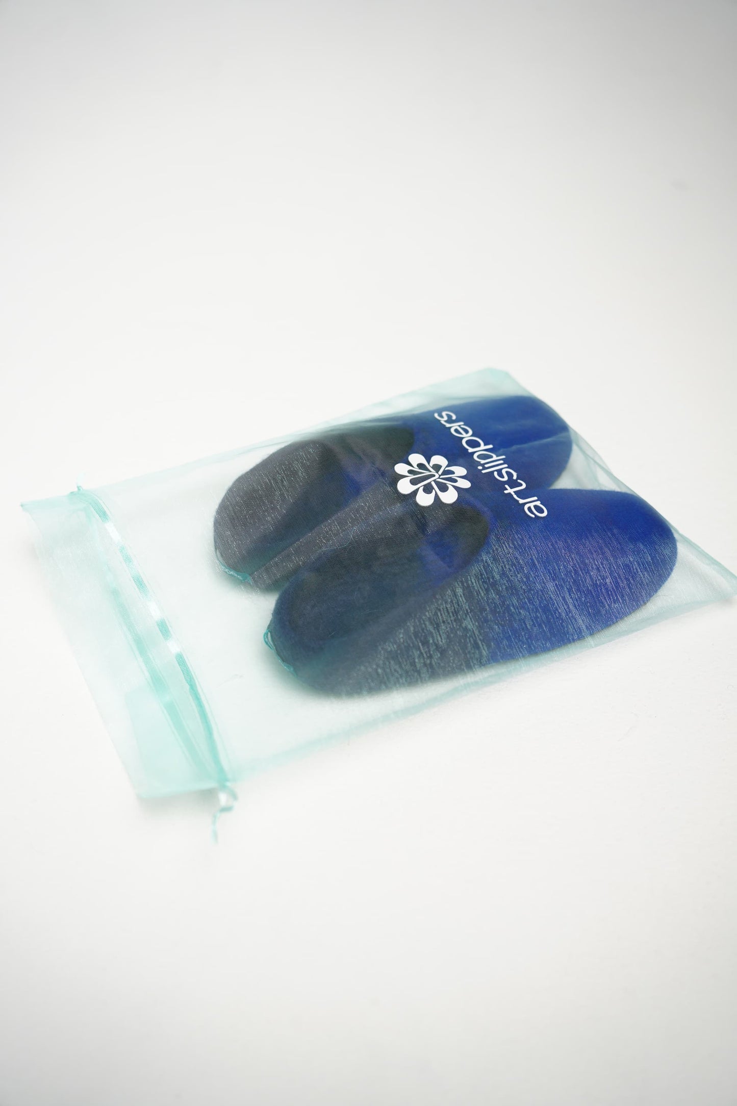 Blue Slippers