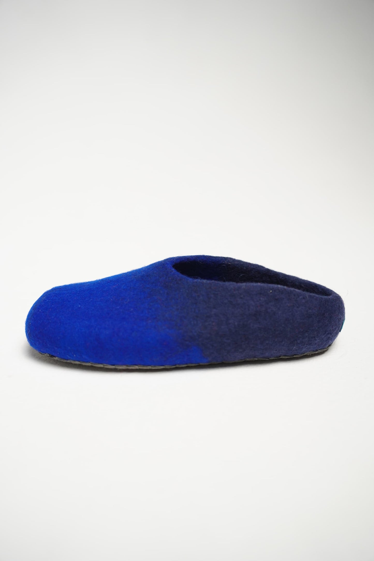Blue Slippers