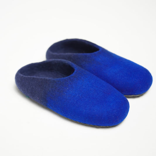 Blue Slippers