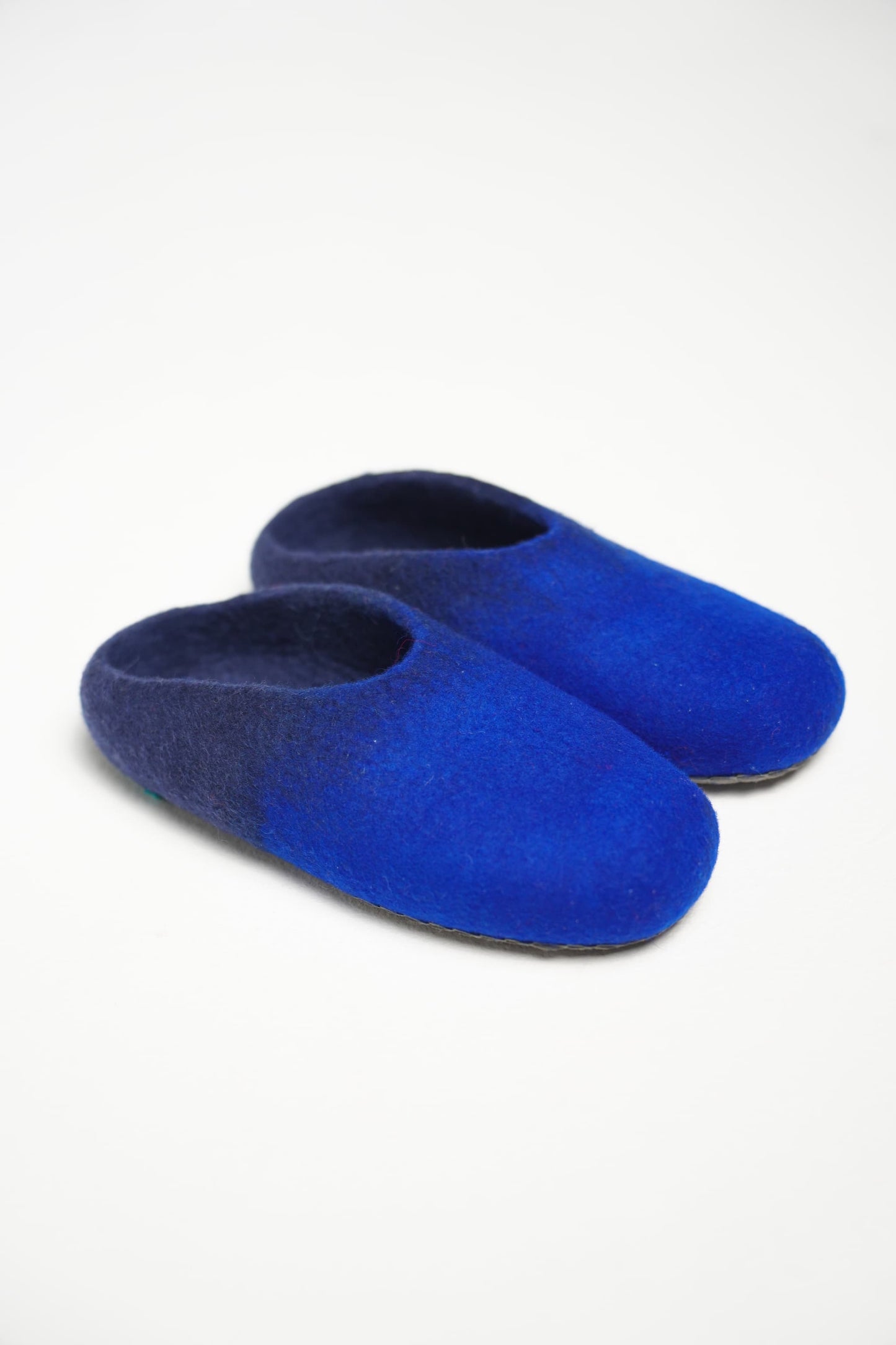 Blue Slippers