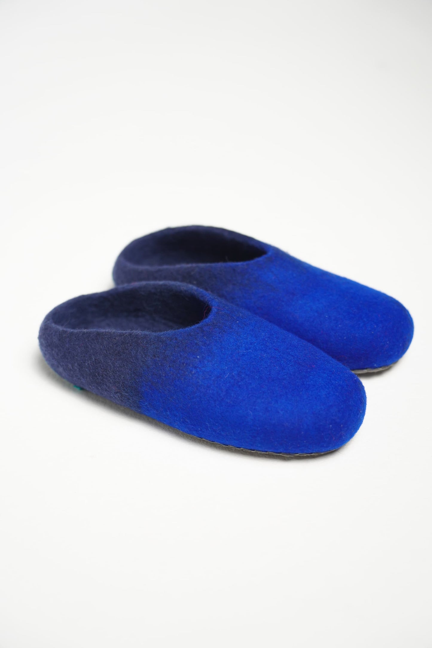 Blue Slippers