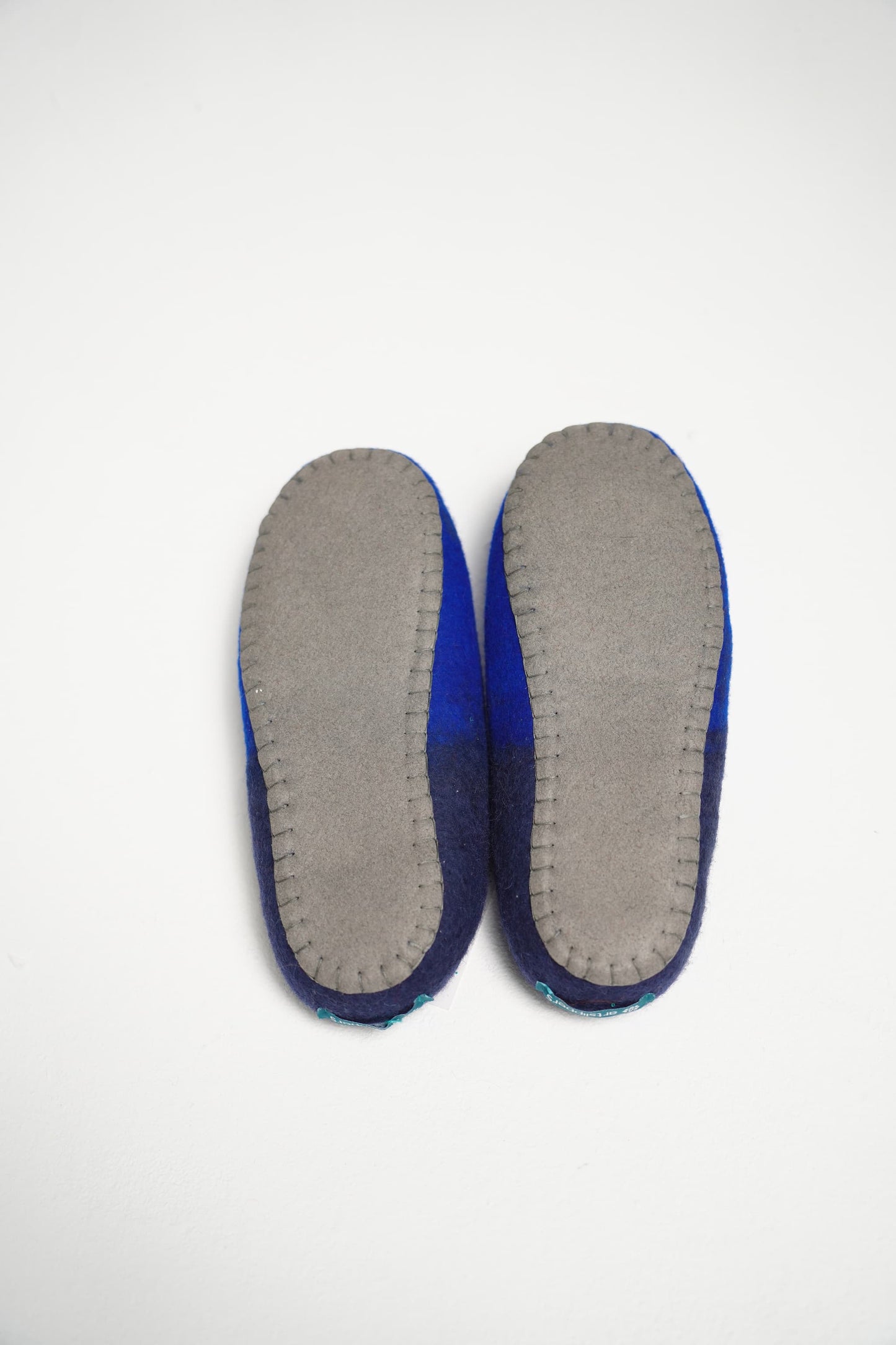 Blue Slippers